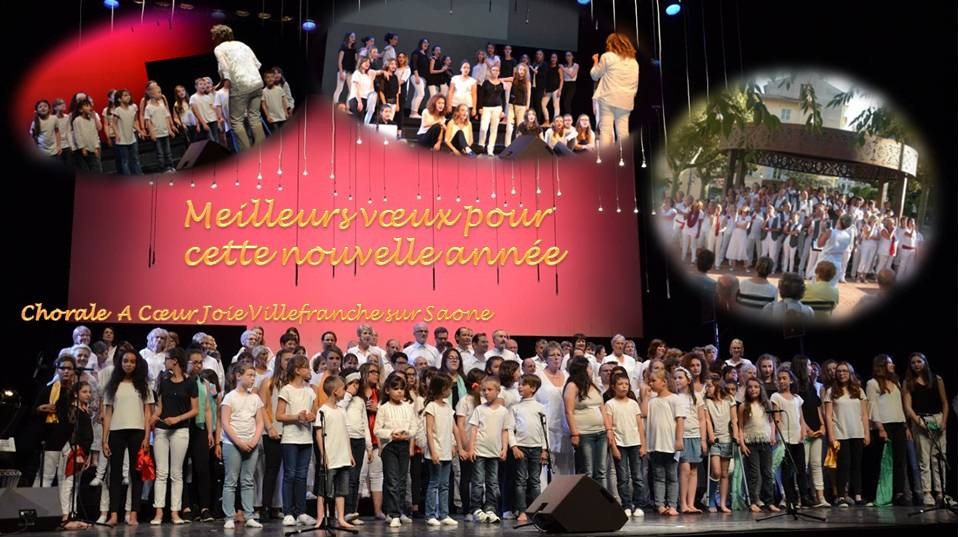voeux2017